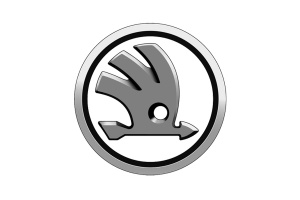 Выкуп автомобилей SKODA